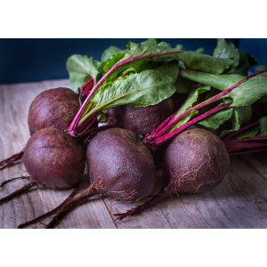 Betterave rouge primeur bio