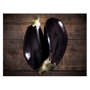 Aubergine