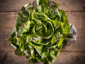 Salade