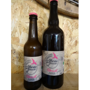 Sterne abricot (blanche)