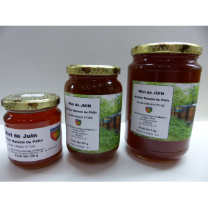 Juin parc du pâtis meaux