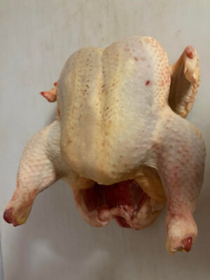 Poule fermière de chaire