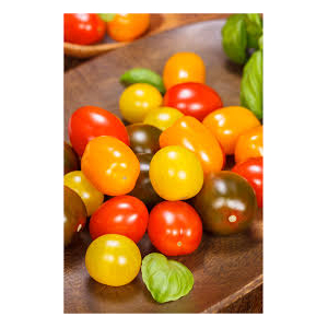 Tomates cerises bio