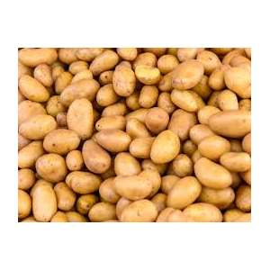 Pomme de terre 'allians'