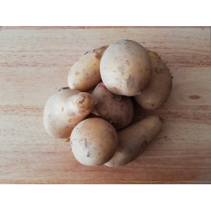 Pomme de terre  nouvelle - primeur