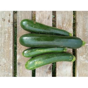 Courgette verte