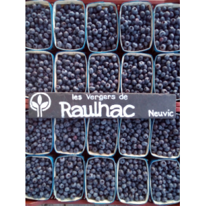 Myrtille biologique 3000g