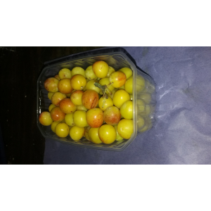 Mirabelles  bio 1 kg