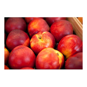 Nectarines en plateaux