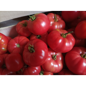 Tomates anciennes