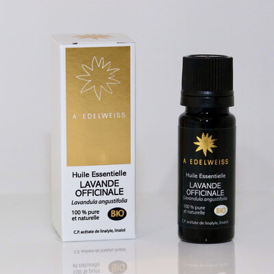 Lavande officinale bio