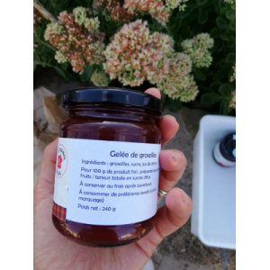 Gelée de groseilles