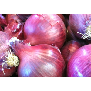 Oignons rouge bio 500g