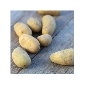 Pomme de terre, peau jaune