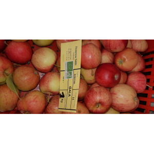 Pommes gala bio 1kg