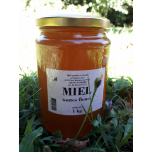Miel polyfloral de séverac