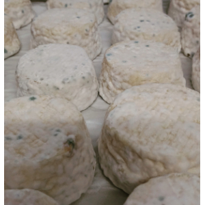 Crottin de chevre  demi sec