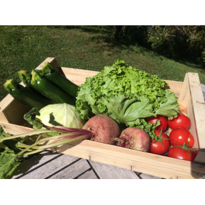 Panier de légumes de saison 2/3 per