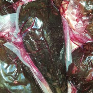 Betterave rouge cuite