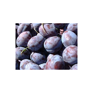 Prunes d'ente en 500g-
