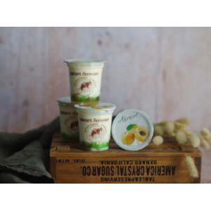 Panier de 4 yaourts fermiers abricot