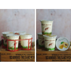 Panier de 8 yaourts fermiers abricot