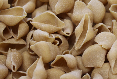Coquillages 500g