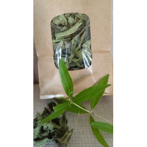 Infusion verveine citronnée