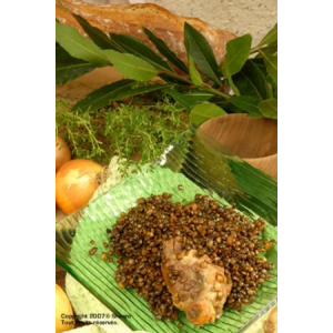 Lentillons de champagne au canard