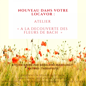 Atelier fleurs de bach jeugny