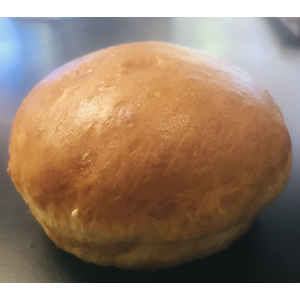 Burgers nature  par lot de 5