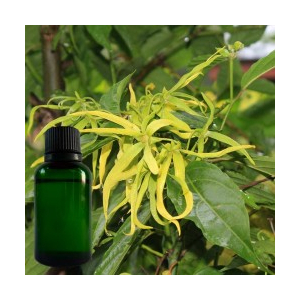 Ylang-ylang