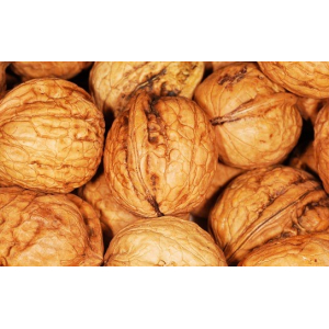 Noix bio des vergers de cousancelles