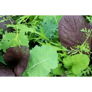 Mesclun asiatique 200g