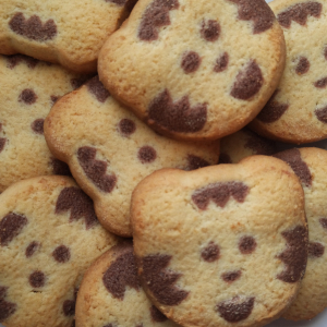 Biscuits tigre (inclus consigne)