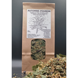 Infusion 4 saisons : automne / poumon