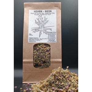 Infusion 4 saisons : hiver / rein