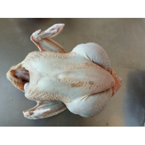 Poulet élevé en plein air 2,8-3 kg