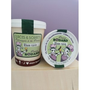 Crème glacée rhum raisin