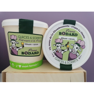 Crème glacée rhum raisin