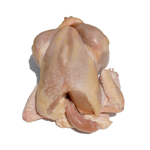 Poule fermière