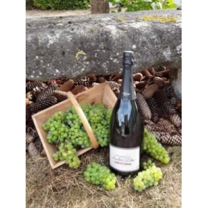 Magnum champagne brut tradition