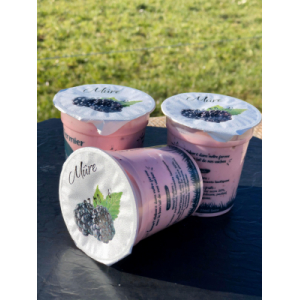 Yaourt brassé mûre