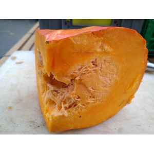 Courge rouge vif d estampes