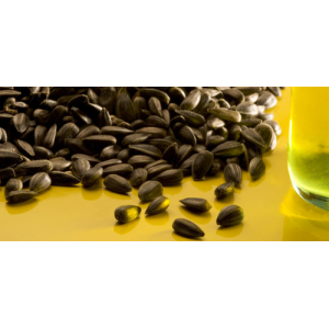 Graines de tournesol noir bio pour oiseaux