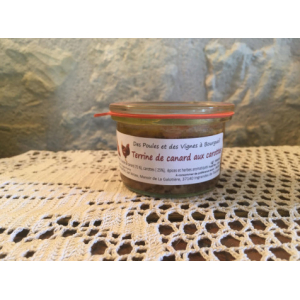 Terrine de canard aux carottes