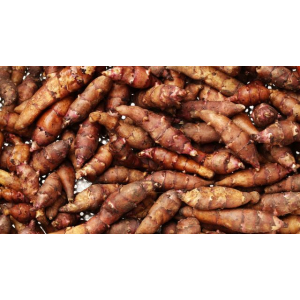 Topinambour bio 500gr