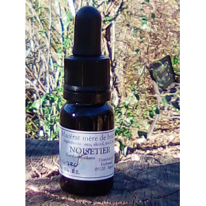 Macérat mère bourgeons noisetier