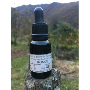 Macérat mère bourgeons ronce