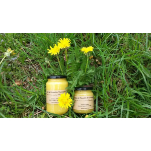 Miel de pissenlit d'auvergne